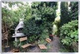 ***TOP Lage - Jügesheim mit verwunschenem Grundstück*** - Garten